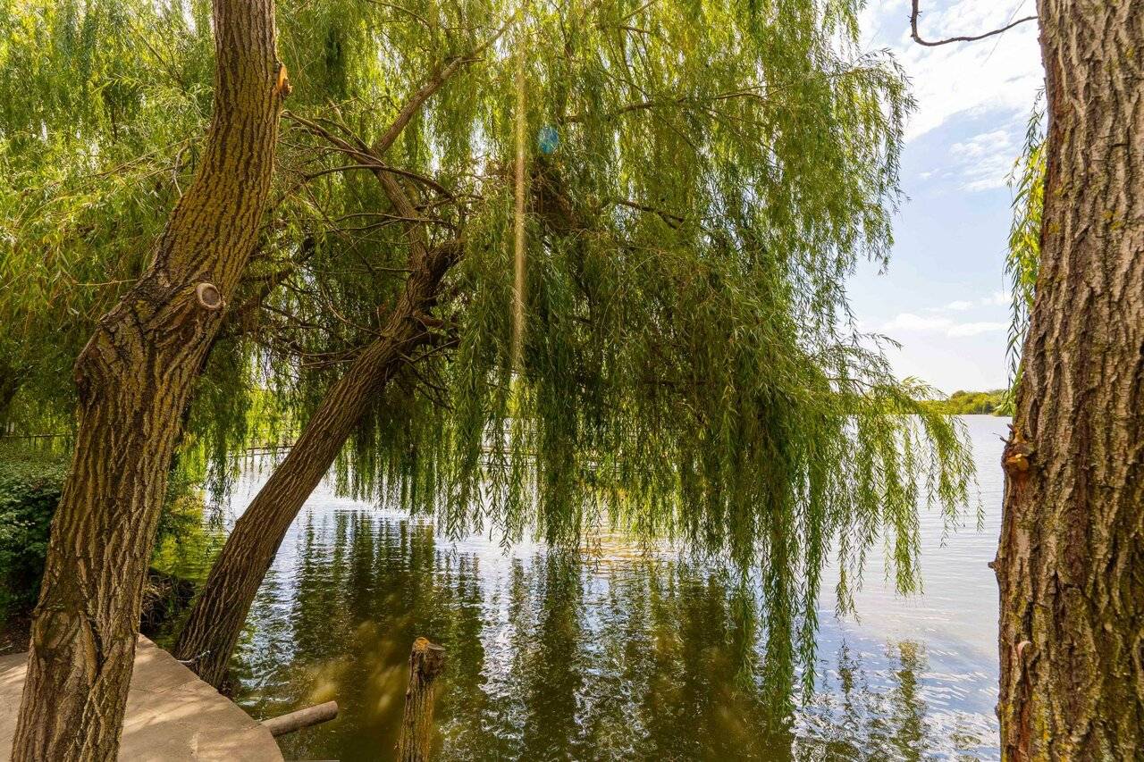 Фото Гостевого дома Усадьба Фамилия Пластуновская 38