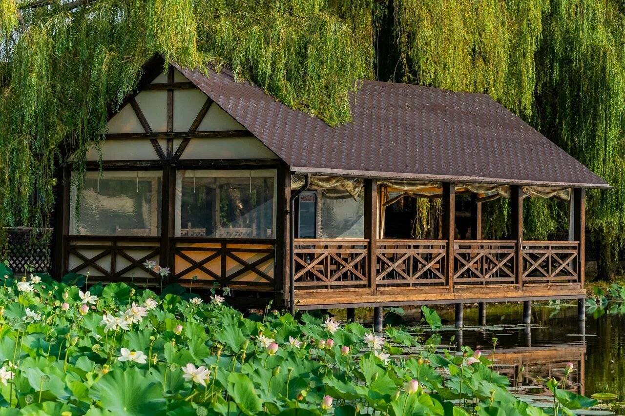 Фото Гостевого дома Усадьба Фамилия Пластуновская 21