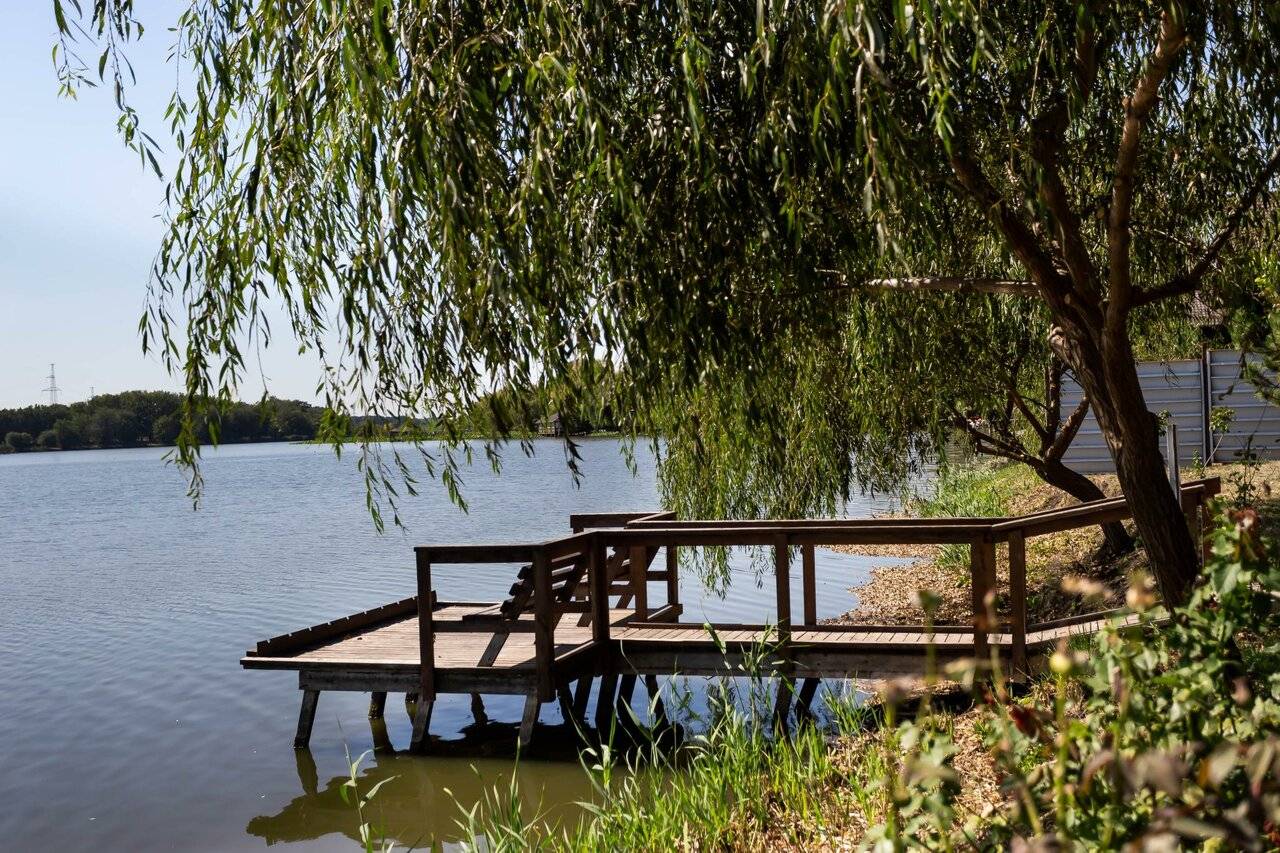 Фото Гостевого дома Усадьба Фамилия Пластуновская 229