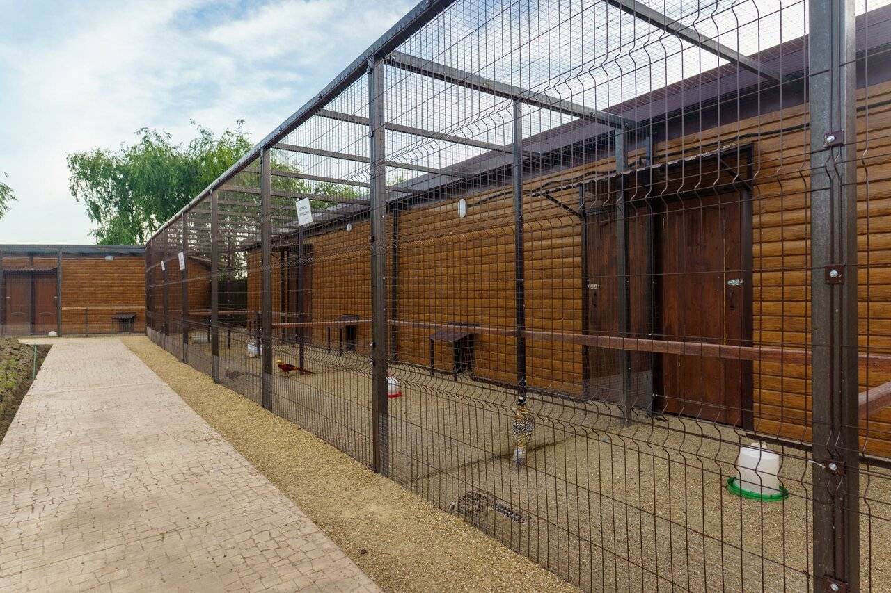 Фото Гостевого дома Усадьба Фамилия Пластуновская 90