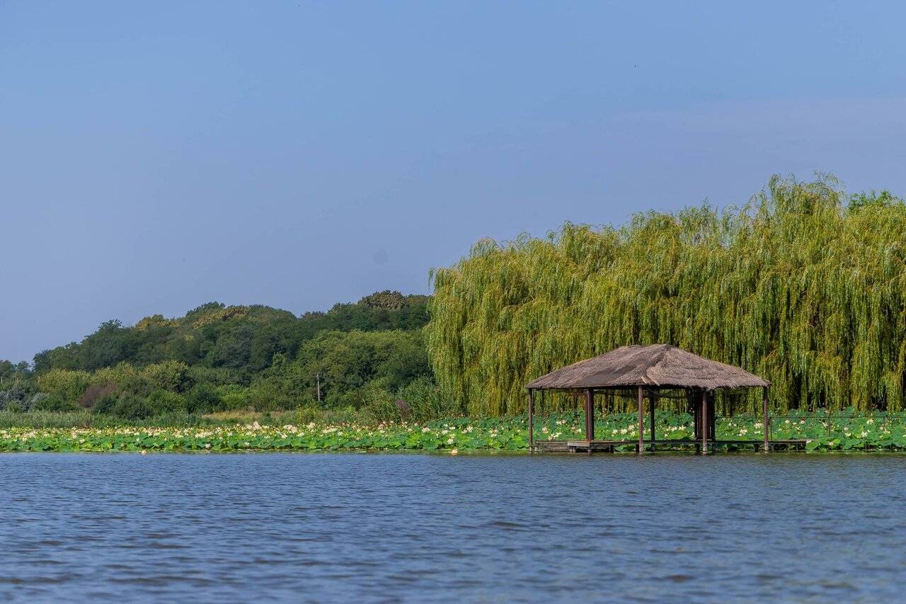 Фото Гостевого дома Усадьба Фамилия Пластуновская 25